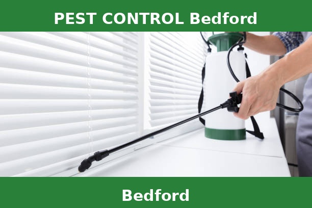 PEST CONTROL Bedford